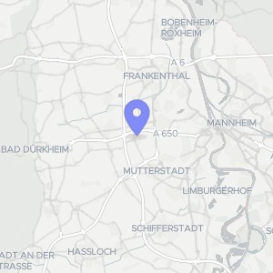 Karte von Pfarrer-Friedrich-Straße 26, 00000 Ludwigshafen, Ruchheim