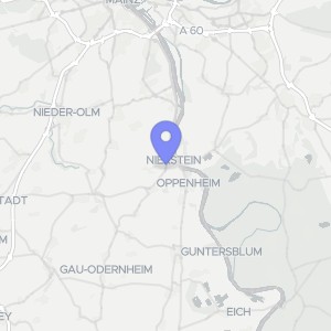 Karte von Daubhausstraße 28, 55283 Nierstein