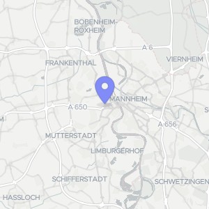 Karte von Waltraudenstraße  4, 67059 Ludwigshafen am Rhein, West