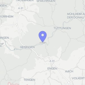 Karte von Bismarckstraße 12 + 14, 78194 Immendingen