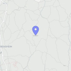 Karte von Freiheitsstraße 20, 64385 Reichelsheim, Laudenau